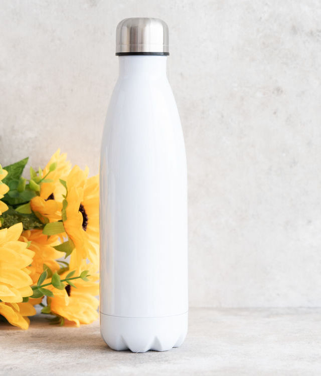 Premium Stainless Steel Water Bottle
