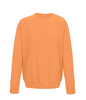 awdis-kids-sweatshirt